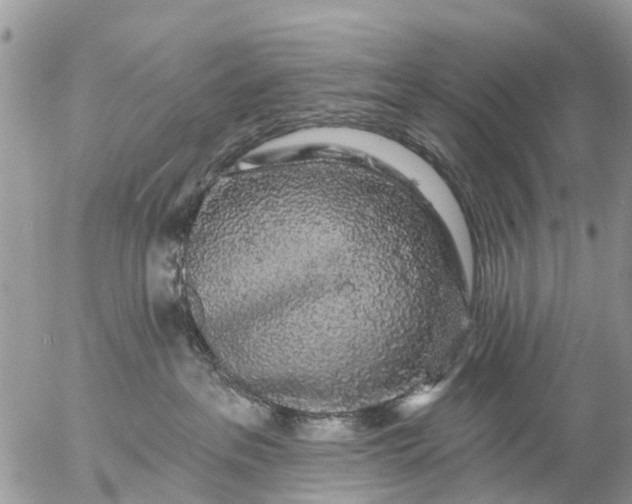 X0000057090237200509231658