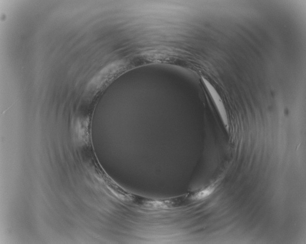 X0000057090239200509231658