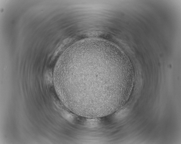 X0000057090240200509231658