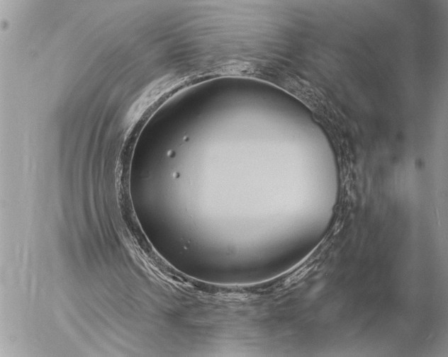 X0000057090242200509231657