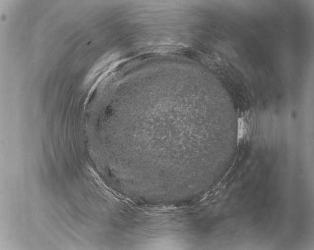 X0000057090243200509231657