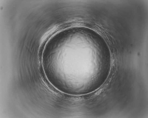 X0000057090245200509231657