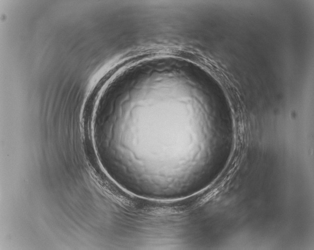 X0000057090246200509231657