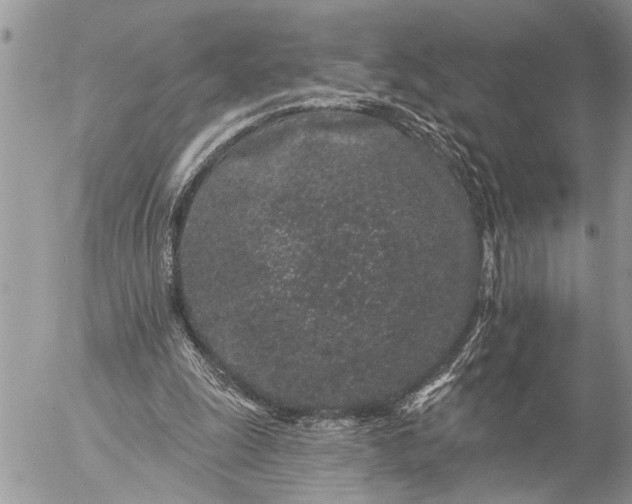 X0000057090247200509231657