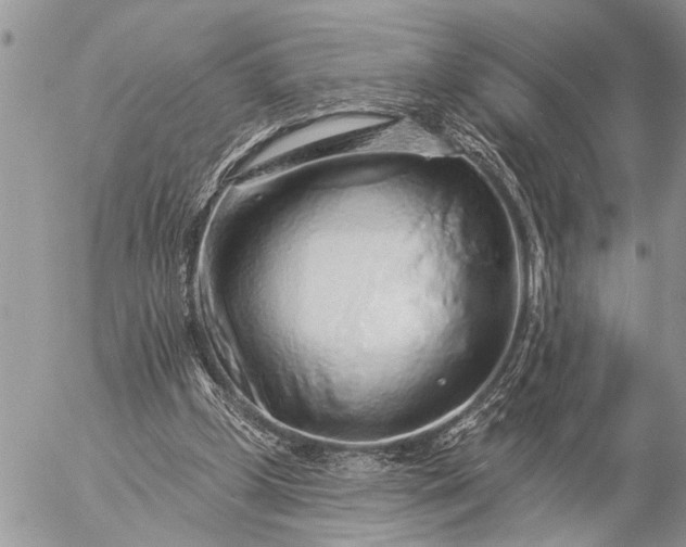 X0000057090249200509231657