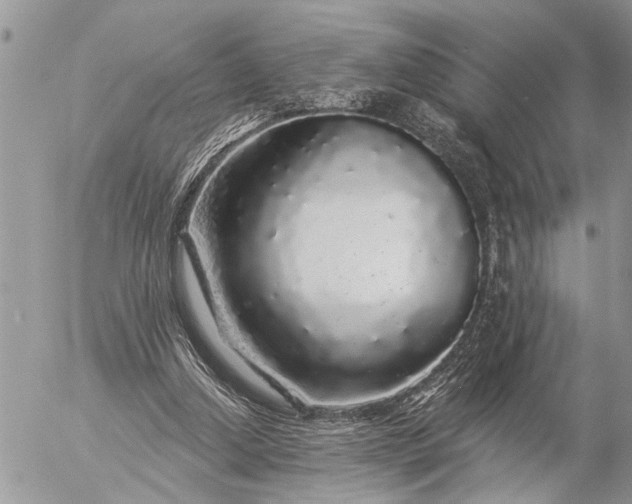 X0000057090250200509231657