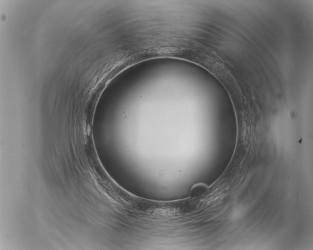 X0000057090251200509231657