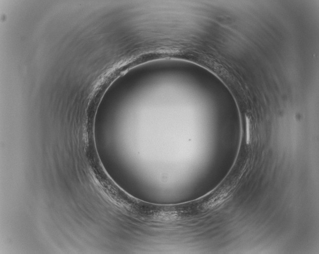 X0000057090252200509231657