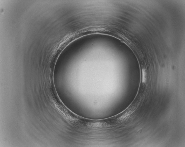 X0000057090253200509231657