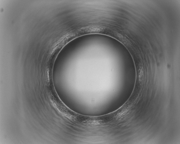 X0000057090254200509231657