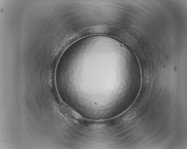 X0000057090255200509231657