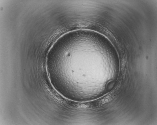 X0000057090257200509231657