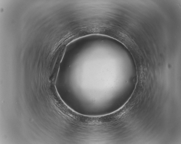 X0000057090258200509231657