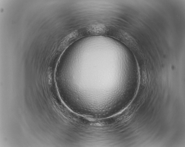 X0000057090259200509231657