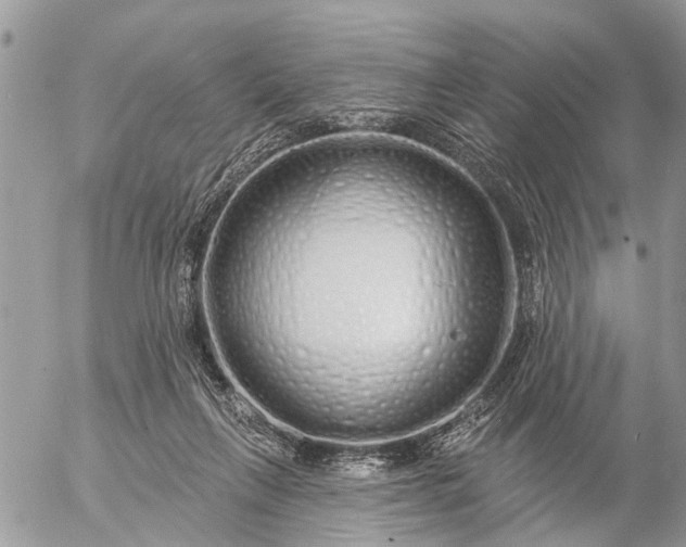 X0000057090263200509231657