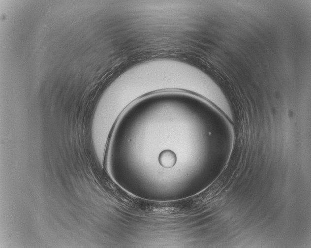 X0000057090268200509231657