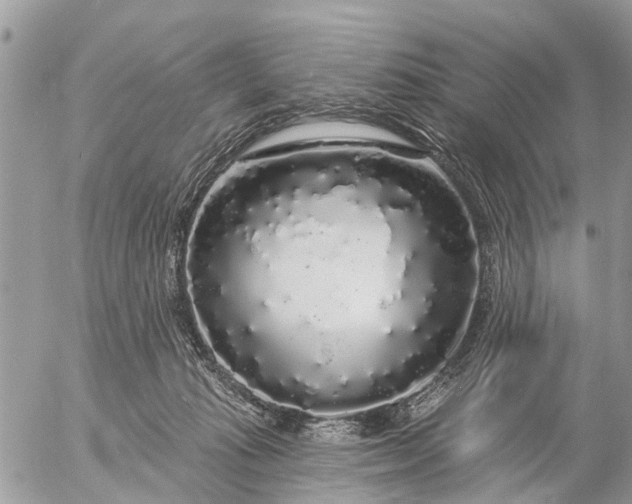 X0000057090269200509231657