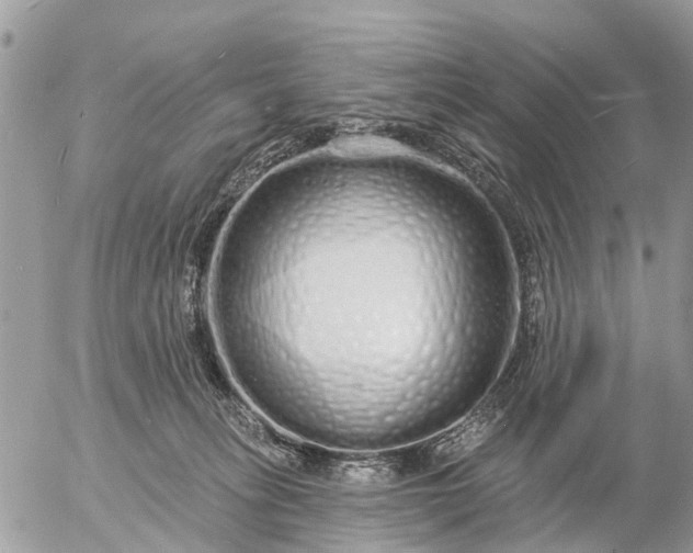 X0000057090275200509231657