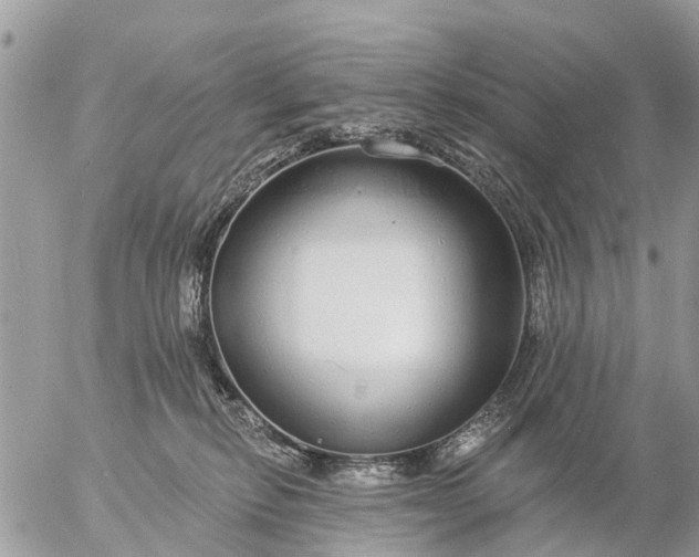 X0000057090278200509231657