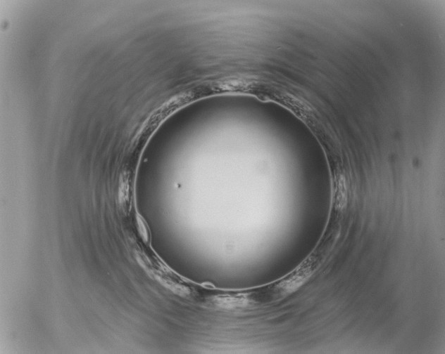 X0000057090284200509231658