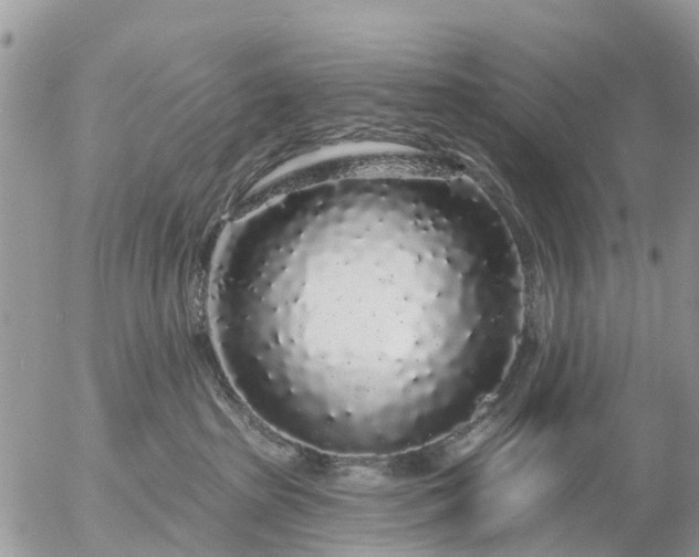 X0000057090285200509231658