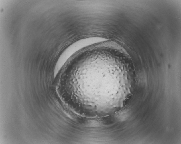 X0000057090286200509231658