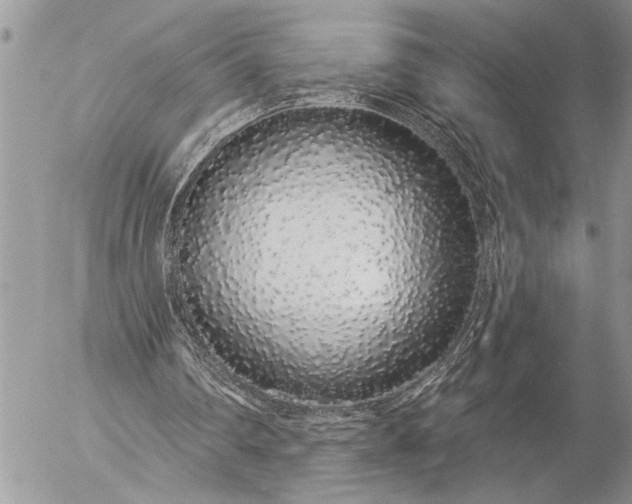 X0000057090290200509231657