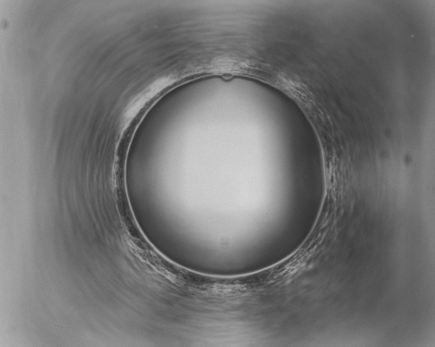 X0000057090292200509231657