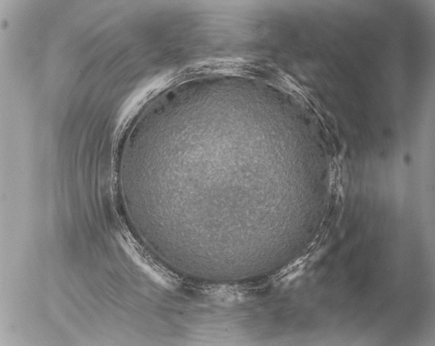 X0000057090293200509231657