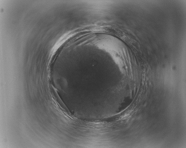 X0000057090295200509231657