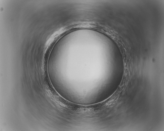 X0000057090296200509231657