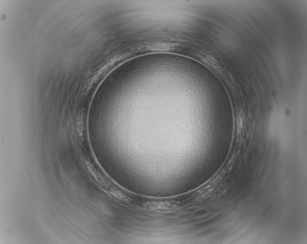 X0000057090297200509231657