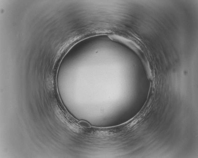 X0000057090298200509231657