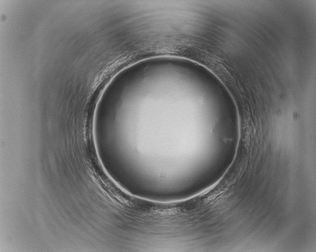 X0000057090299200509231657