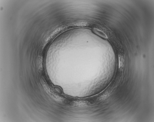 X0000057090300200509231657