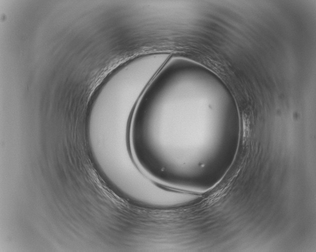 X0000057090301200509231657