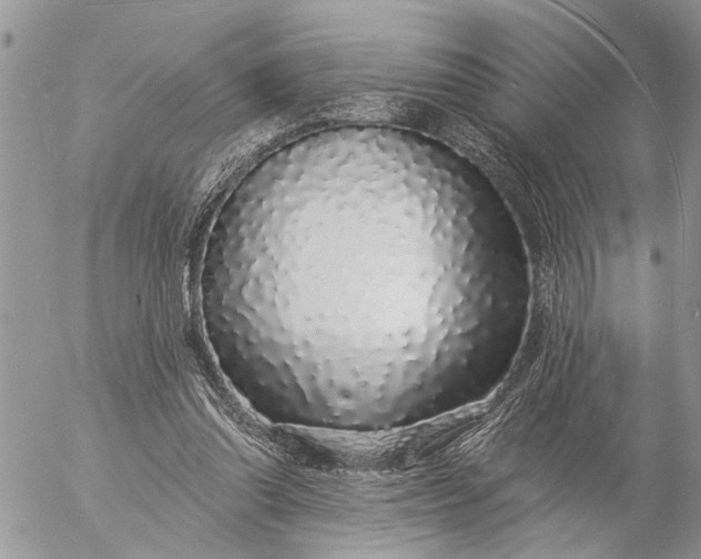 X0000057090302200509231657