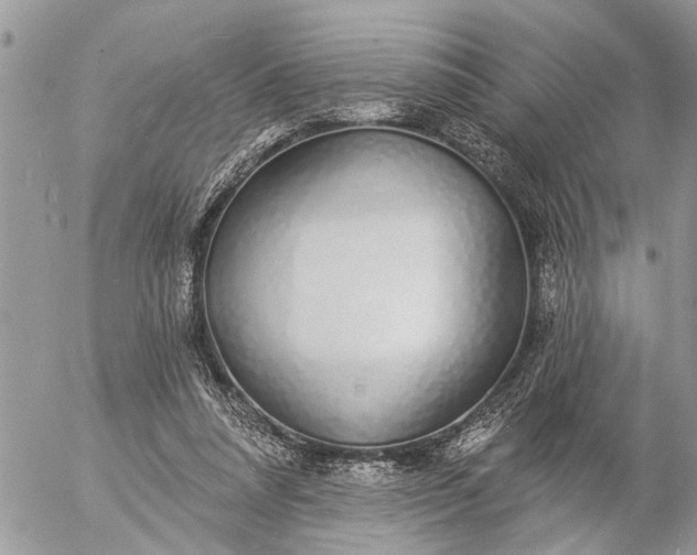 X0000057090304200509231657