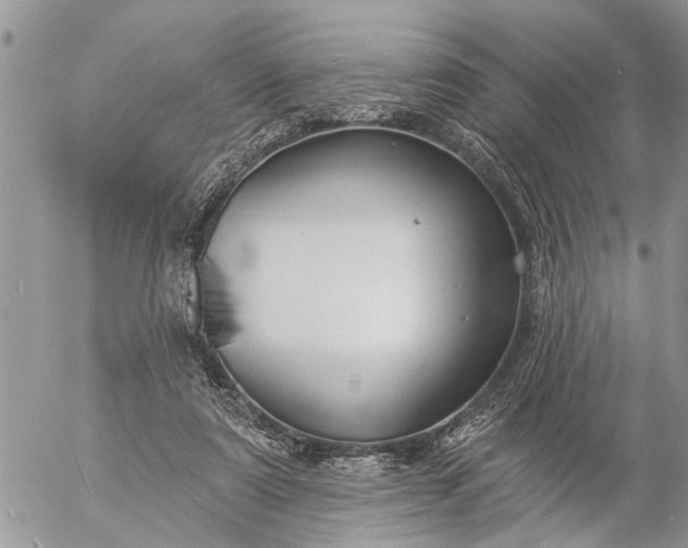 X0000057090307200509231657