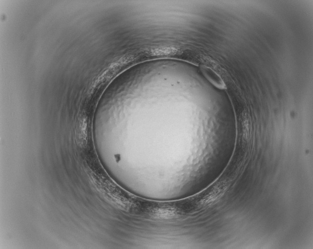 X0000057090308200509231657