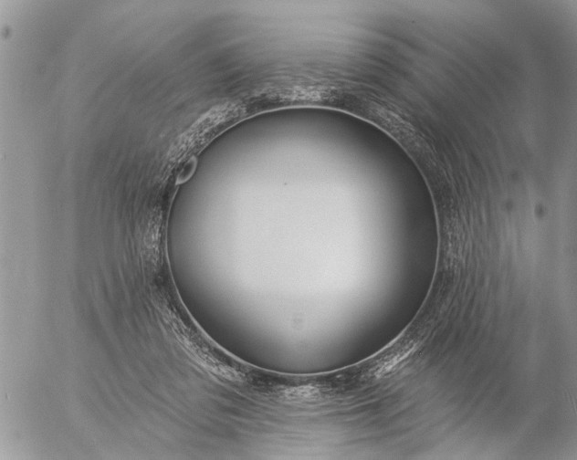 X0000057090309200509231657