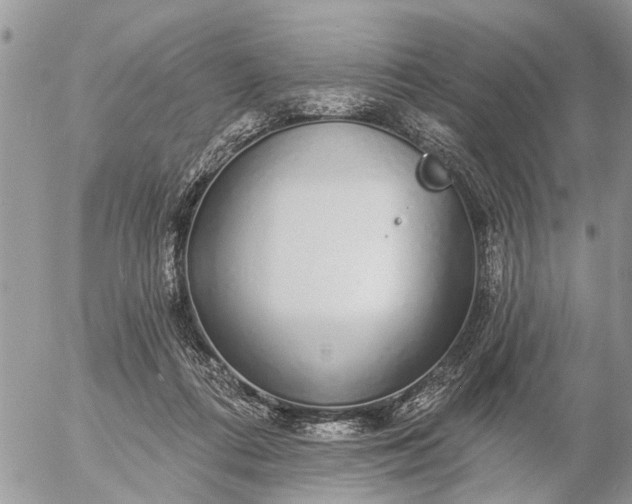 X0000057090312200509231656