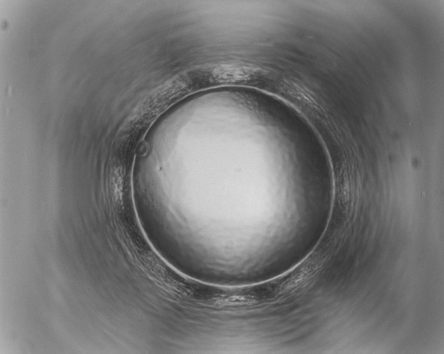 X0000057090315200509231656