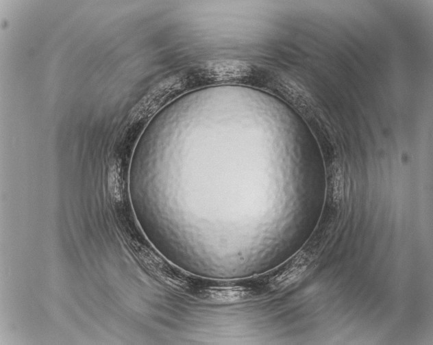 X0000057090316200509231656