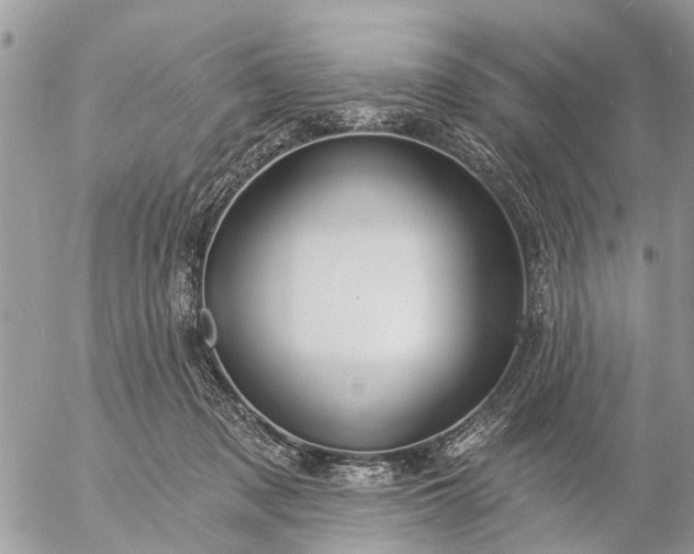 X0000057090317200509231656