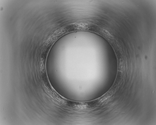 X0000057090318200509231656