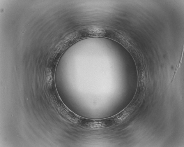 X0000057090320200509231656