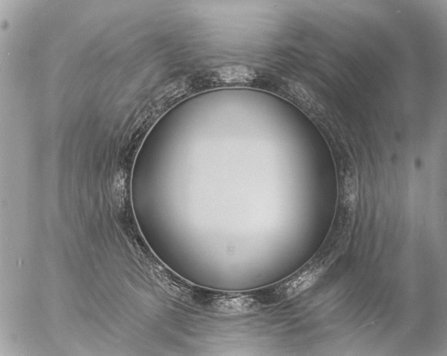 X0000057090321200509231656