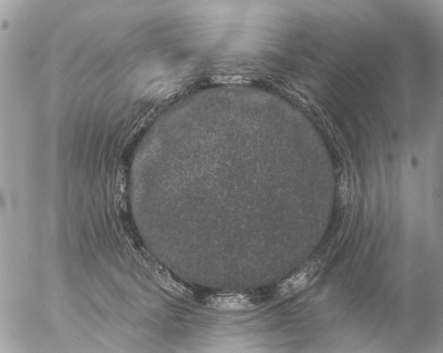 X0000057090322200509231656