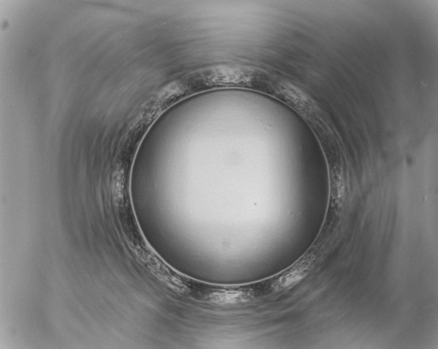 X0000057090326200509231656